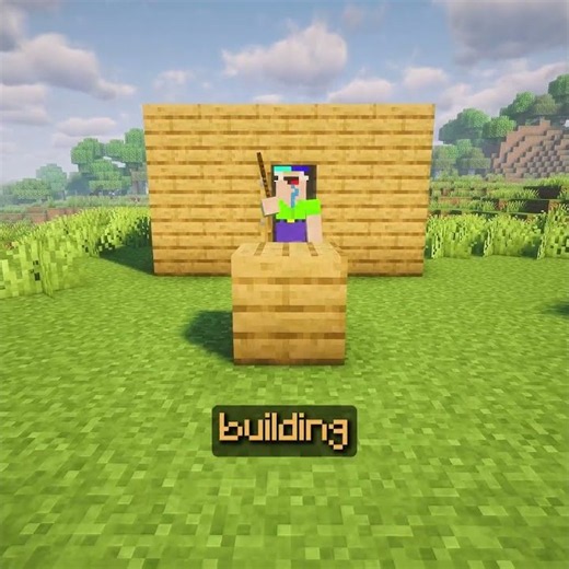 Which Block Is THE BEST For Building In Minecraft?