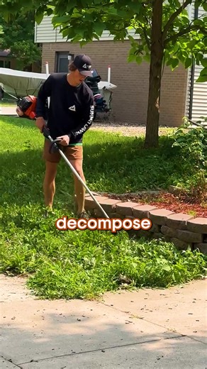 How to Mow Like a Pro! #lawn #lawncare #mowing #grass | Summit Lawns