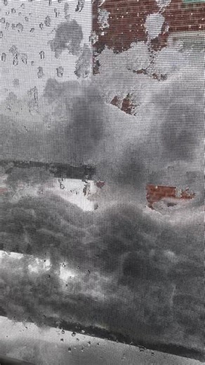 NYC Blizzard #nyc #blizzard #snowstorm #snowedin #2026