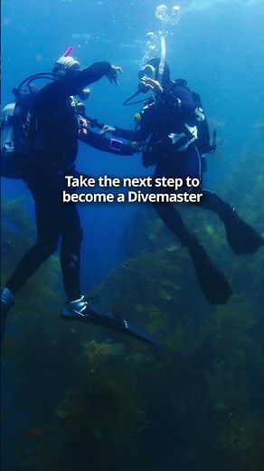 Become a PADI Professional