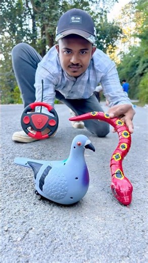 Remote Control Rc Birds Pigeon and snake