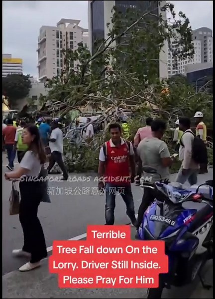 5.5K views · 56 reactions | SCDF rescue trapped person after tree falls on lorry at Ophir Road, 3 taken to hospital A person was trapped in the driver's seat of a lorry after a large tree fell on the vehicle along Ophir Road on Thursday evening Sept 21 at about 6:50pm | Singapore roads accident.com新加坡公路意外网页 | Facebook