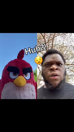 Reacting to Angry Reactions with Awws | Duet Video