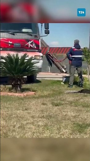 İran füzesi Türkiye hava sahasında düşürüldü