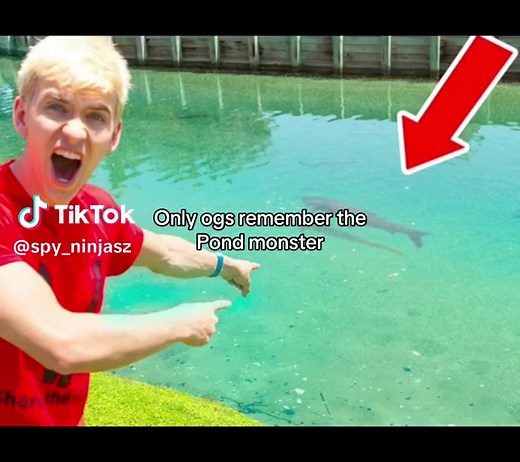 Remembering the Pond Monster: A Spy Ninjas Journey