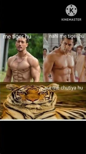 😂😂Tiger like : Me chutiya hu😂😂 #memes #funny #viral #shorts