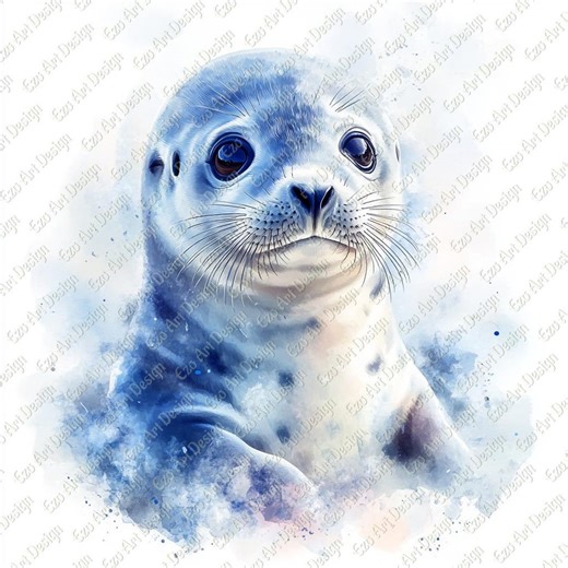 Baby Seal Portrait Clipart, Expressive Eyes Marine Illustration (digital Download) - Etsy