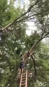 49K reactions · 553 shares | Funny fails #viral #funny #funnynaija #237comedy | Perony Fails | Facebook