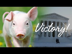 We won! U.S. Supreme Court upholds California's Prop 12