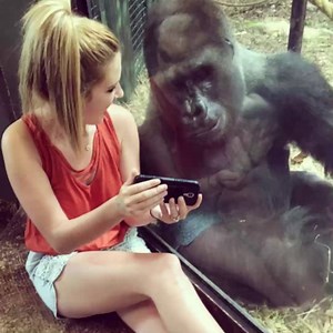 "He seems to like videos and photos of gorillas best." WATCH: Jelani is just like any other millennial. He loves selfies, smartphones and can watch popular YouTube videos for hours on end. But there is something that sets him apart from the rest: http://cbsn.ws/2sM2lpH | CBS News