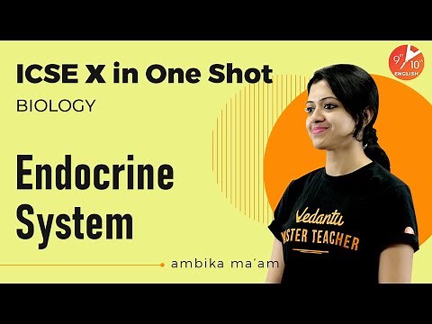 Endocrine System in One Shot | ICSE Class 10 Biology Chapter 12 | Selina | Vedantu 9 and 10 English