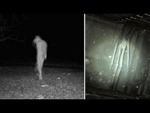 The Aswang | The Mysterious Shapeshifting Creature Of The Philippines
