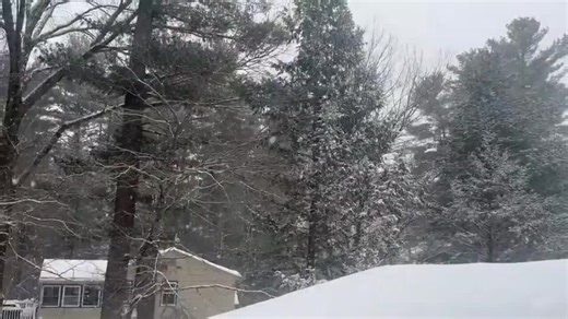 Fresh Snow Coats Trees in Northern Connecticut