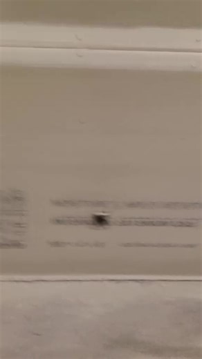 Barney 5 (@barney.53)’s videos with original sound - Barney 5