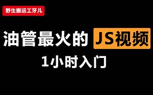 【web前端】油管最火JS基础教程，JavaScript快速入门，中文完结