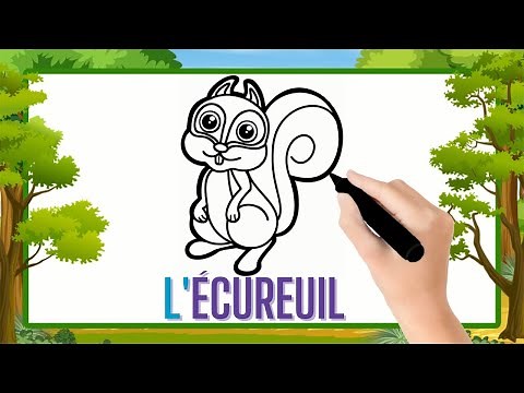 Comment dessiner un écureuil facilement | Dessin écureuil facile & coloriage par étapes