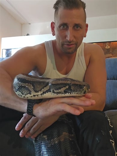 Creating a Stunning Snake Terrarium for Your Python