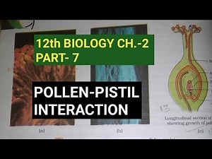 Class 12 biology chapter-2, Part-7 ||Pollen-pistil interaction ||Study with Farru