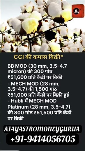 Cotton Prices update today