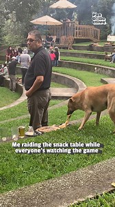 409K views · 1.8K reactions | It's first come, first serve! 北 #Dogs #Funny #DogLife #Football #Chiefs #Eagles | The Pet Collective | Facebook
