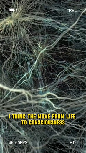 Alien Communication | Interstellar News