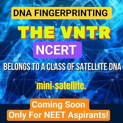 DNA Fingerprinting Teaser: Crack in 20 Seconds! #NEET #Biology #Shorts