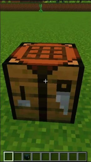 Minecraft Expert Reveals BEST Ender Chest Techniques