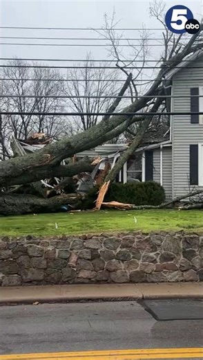 A daylight look at storm damage