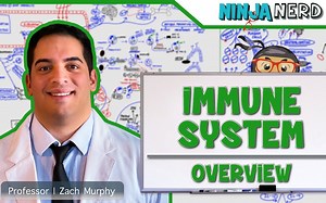 Ninja Nerd | Immunology | 免疫学