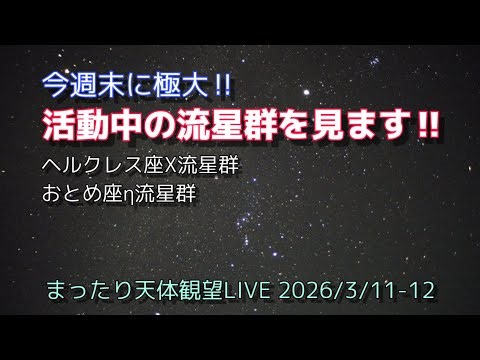 活動中の流星群を見ます!! [まったり天体観望LIVE] 2026/3/11-12