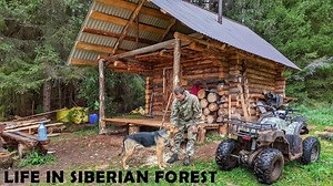 54K views · 868 reactions | Alone Building a Log Cabin in the Siberian Forest Wooden Terrace | Viral Webs | Facebook