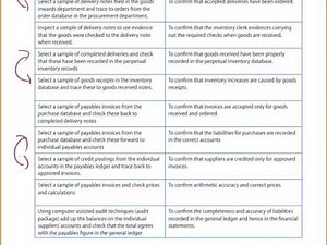 ACCA F8 Lecture Past exam answer DinZee