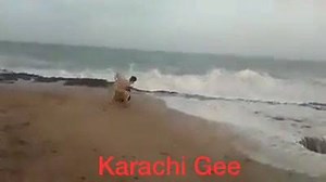 6.2K views · 123 reactions | Sea Wave power | KARACHI Gee | Facebook