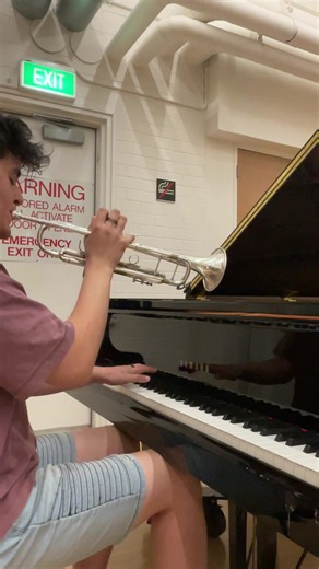 Moonlight Sonata Piano Trumpet Cover at Victorian College of the Arts