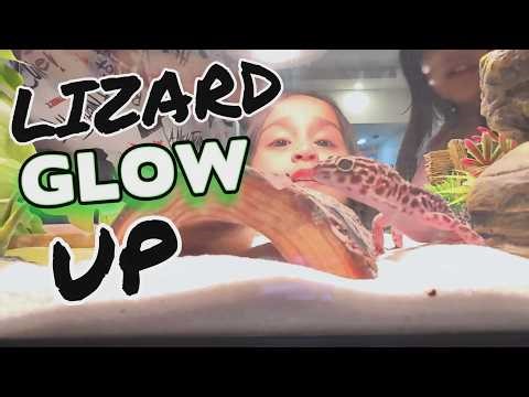 Normal day, except we remodeled the lizard's house 🦎