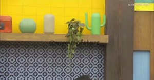 🚨| Sandra Itzel tras llorar porque dice que las mujeres de #LaGranjaVIP la excluyen, entra a la casa y se encuentra a una mariposa. | Tlnovelas Memes