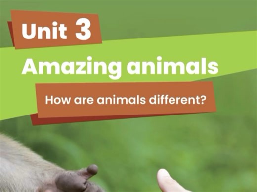 三年级上册第三单元