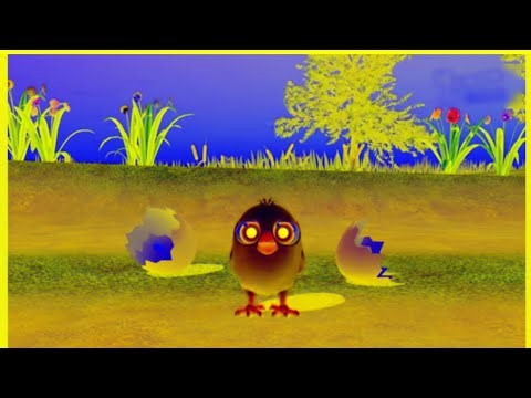 Funny Cute baby Chicken, Cheep cheep!||Edit|| Sponsored by Gamavision Csupo effects