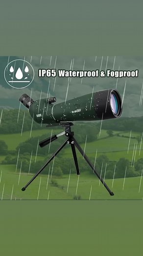 1.1K views | Scop available | Container Mall | Facebook