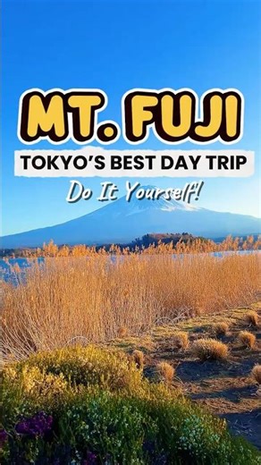 Tokyo to Mt. Fuji: The Perfect Day Trip
