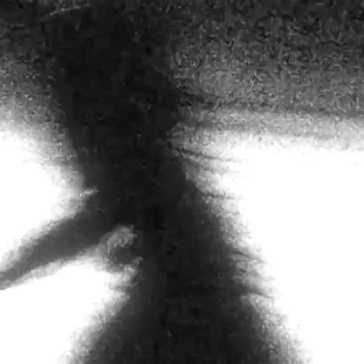 Exploring XXL Typography in Motion Graphics