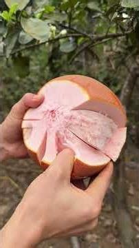 Cutting and Peeling Ripe Red Grapefruit