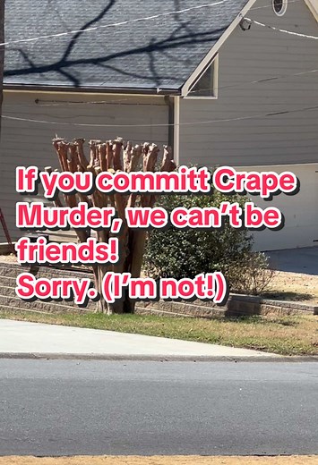 Understanding Crape Myrtle Care in Urban Gardening