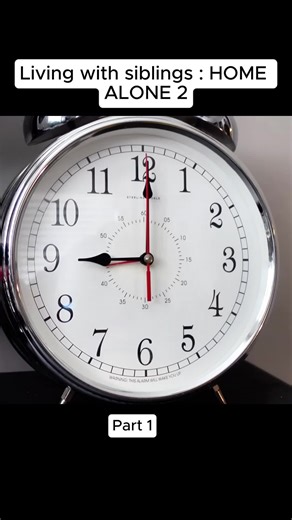 Living with siblings HOME ALONE 2 | living with siblings