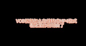 VOB视频怎么在线转成MP4格式 看这里你就明白了