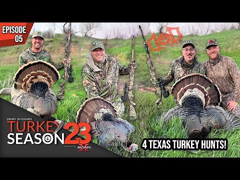 4 Turkeys & 1 Coyote Kill Two Days Down In Texas | TurkeySeason2023