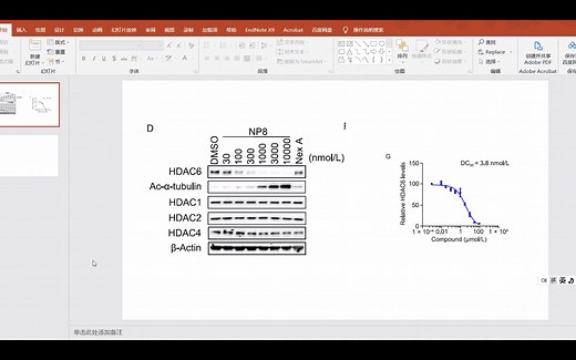 如何用Image J对western blot条带进行半定量，并计算DC50