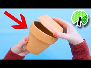 10 Unexpected ways to use $1 planters