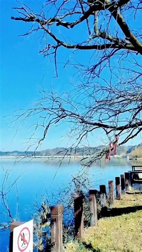 湖北省襄阳市谷城县南河镇自然风光#代安義原创视频#带你去看山水古树风景如画自然景色#大美谷城！！！