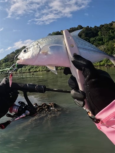 Tips for Choosing the Right Fishing Rod